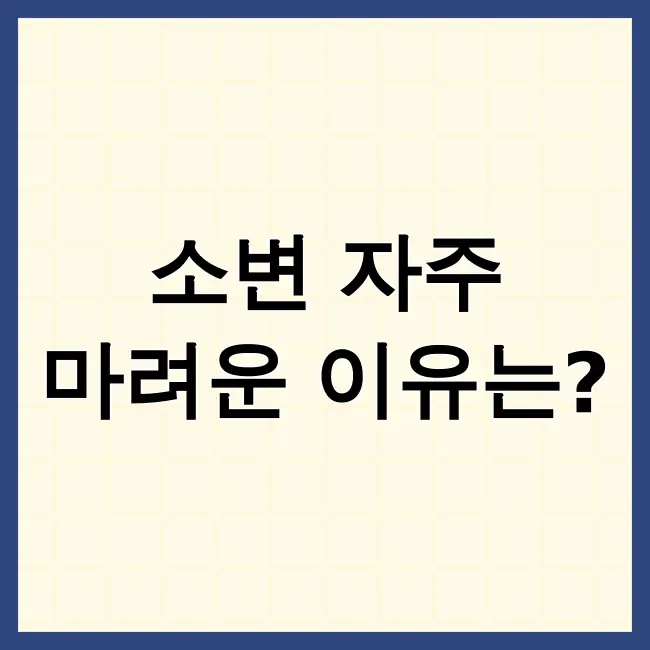 소변이 자주 마려운증상