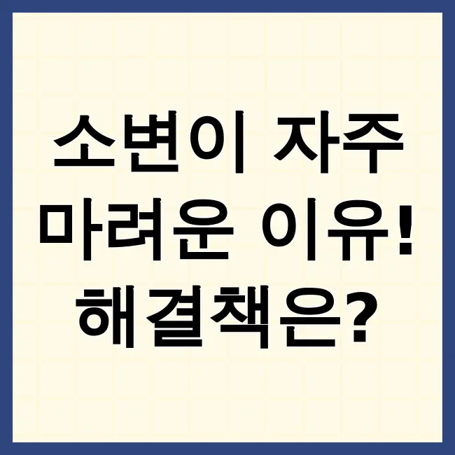 소변이 자주 마려운증상