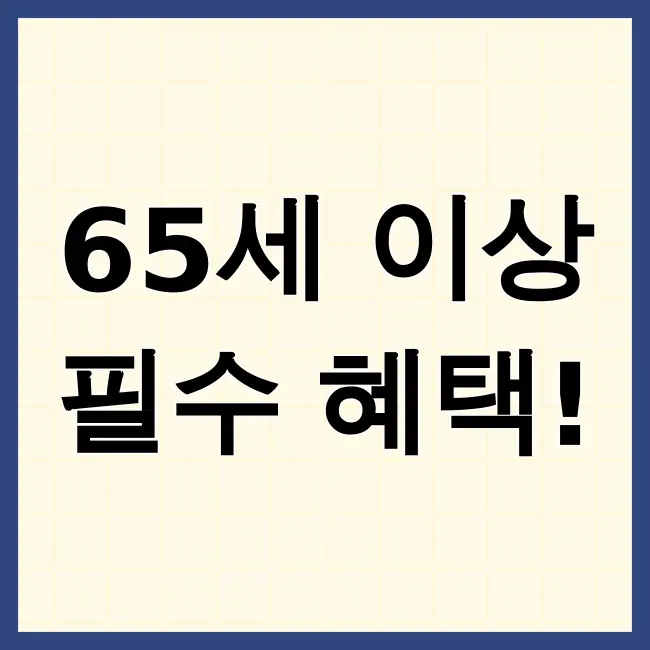 65세이상 노인혜택